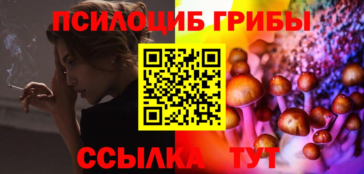 магазин продажи   Галлюциногенные грибы Psilocybine cubensis  Вход с VPN  Мытищи 